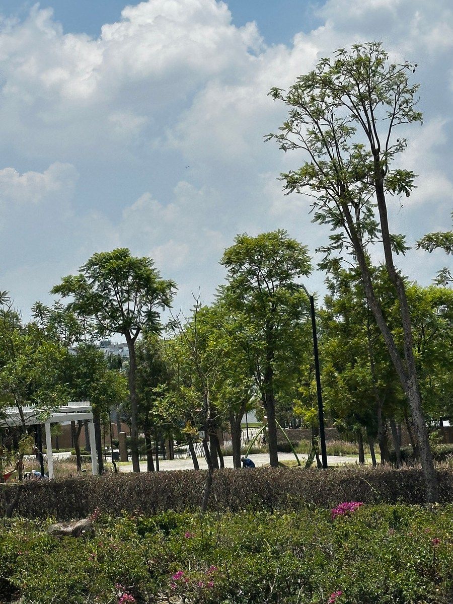 Terreno en Lomas de Angelópolis, San Andrés Cholula, foto 8 de 11