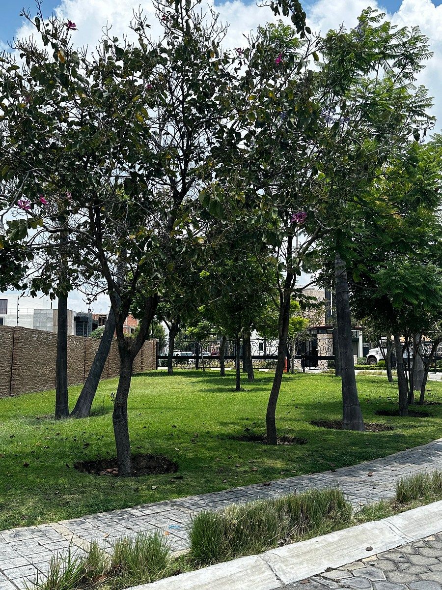 Terreno en Lomas de Angelópolis, San Andrés Cholula, foto 9 de 11