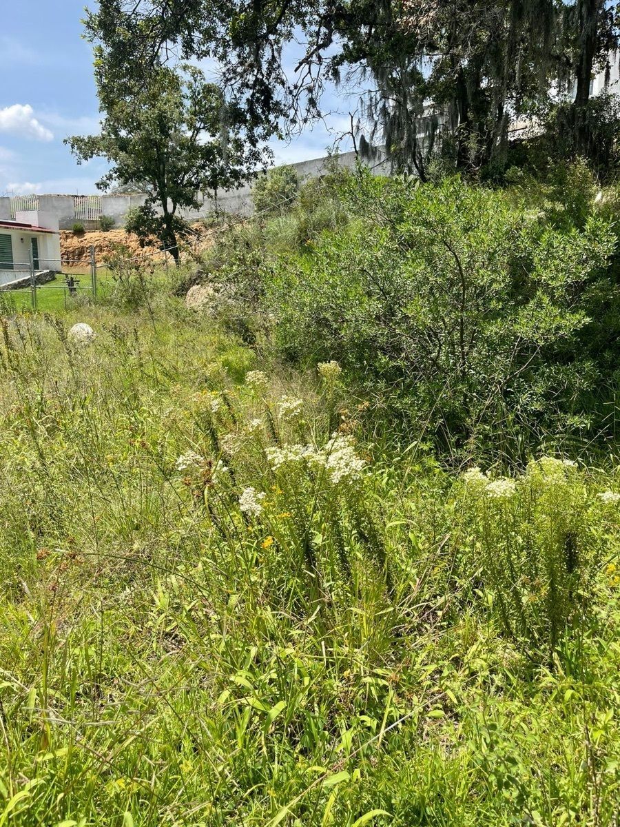 Lote em Fincas de Sayavedra, Atizapán de Zaragoza, foto 8 de 9