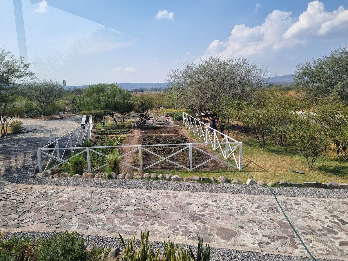 Terreno en Rinconcillo (Rinconcillo de los Remedios), Comonfort, foto 7 de 41