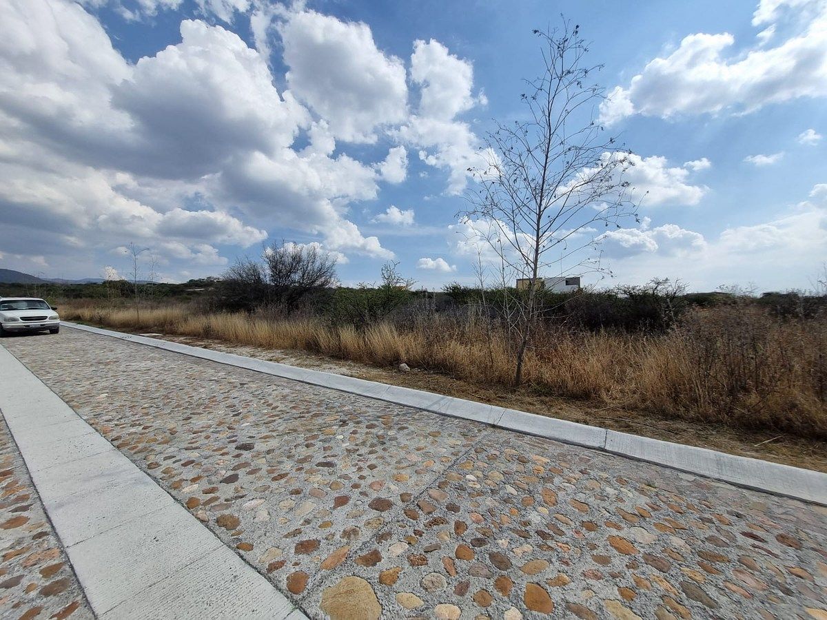 Terreno en Rinconcillo (Rinconcillo de los Remedios), Comonfort, foto 10 de 41