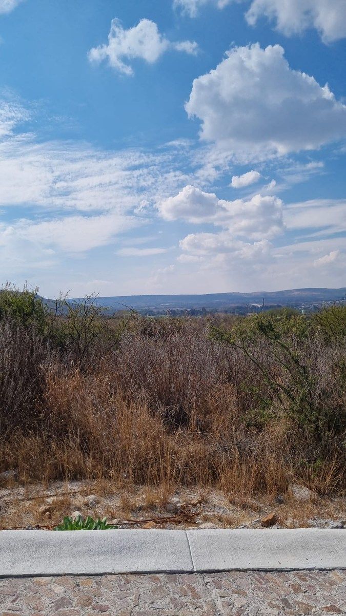 Terreno en Rinconcillo (Rinconcillo de los Remedios), Comonfort, foto 12 de 41