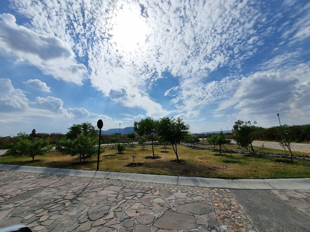 Terreno en Rinconcillo (Rinconcillo de los Remedios), Comonfort, foto 16 de 41