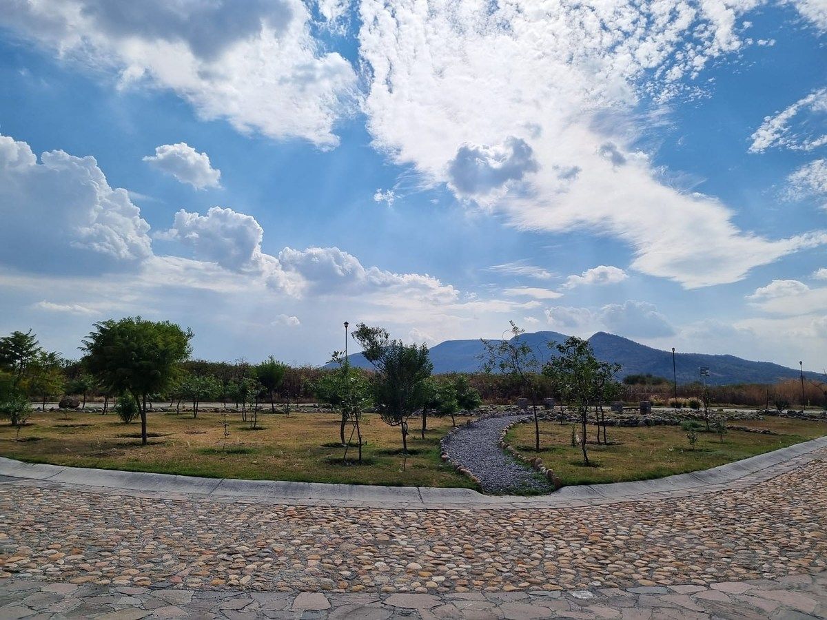 Terreno en Rinconcillo (Rinconcillo de los Remedios), Comonfort, foto 17 de 41