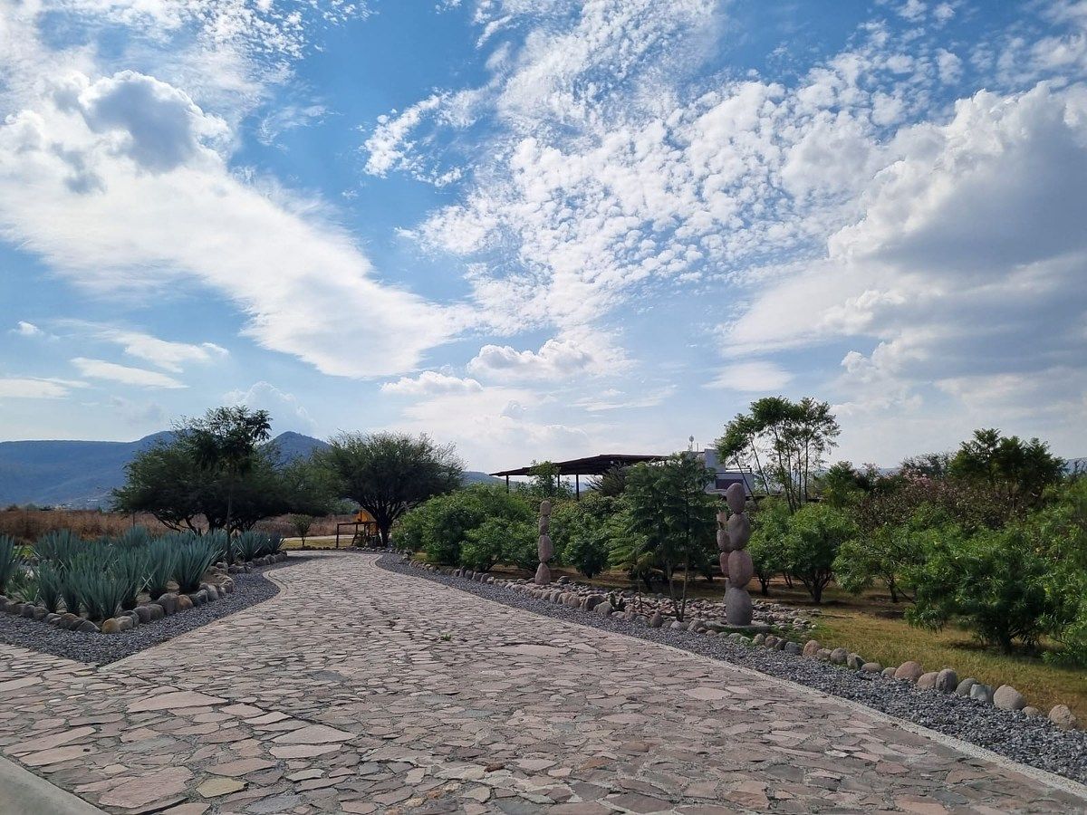 Terreno en Rinconcillo (Rinconcillo de los Remedios), Comonfort, foto 18 de 41
