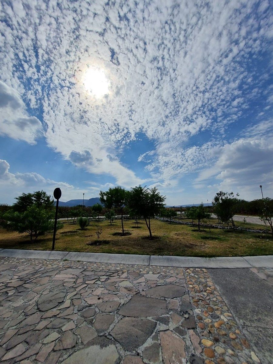 Terreno en Rinconcillo (Rinconcillo de los Remedios), Comonfort, foto 19 de 41