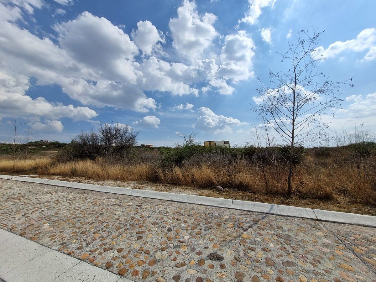 Terreno en Rinconcillo (Rinconcillo de los Remedios), Comonfort, foto 31 de 41