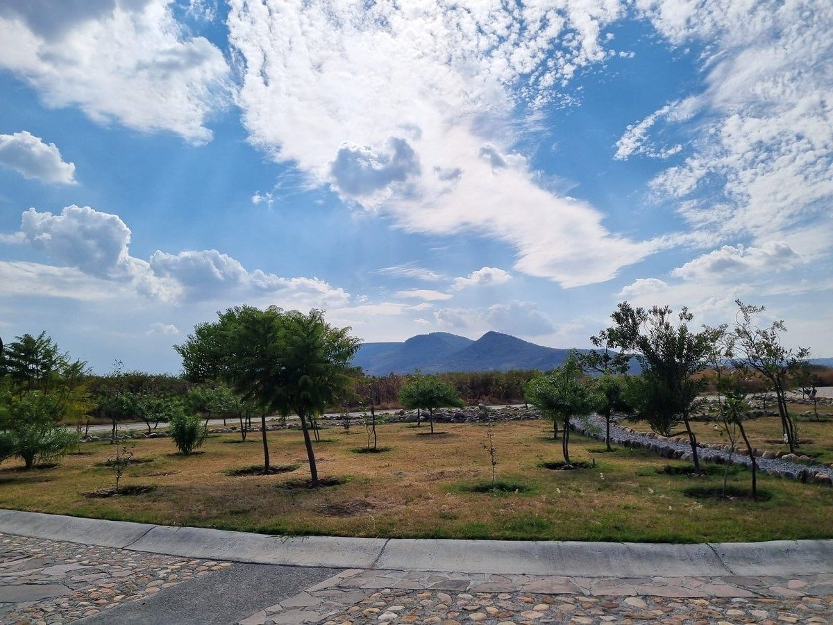Terreno en Rinconcillo (Rinconcillo de los Remedios), Comonfort, foto 33 de 41