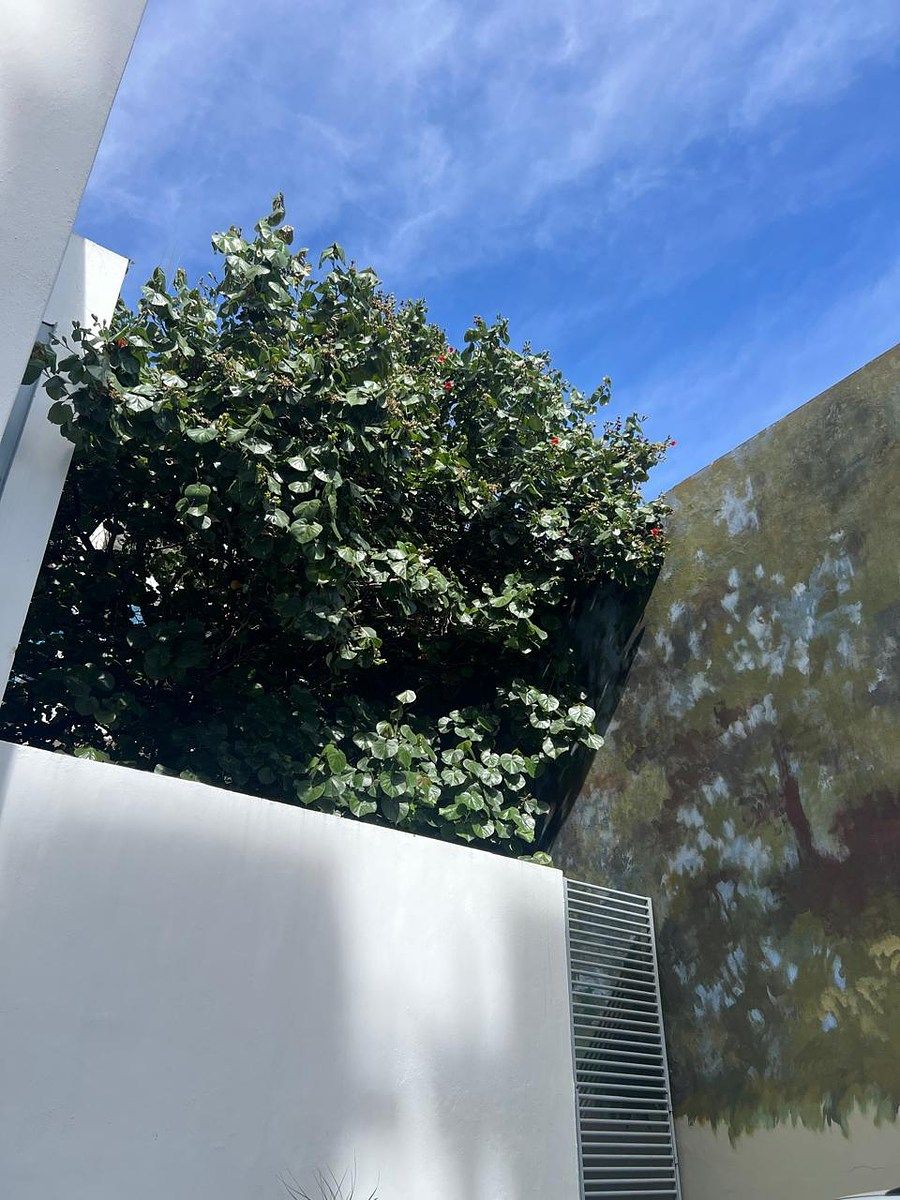 Casa con uso de suelo en Americana, Guadalajara, foto 4 de 21