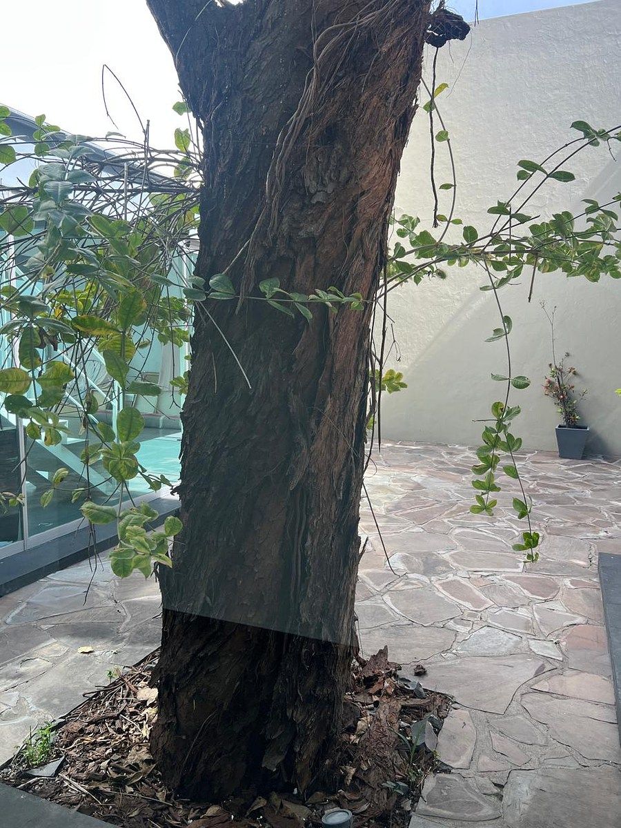 Casa con uso de suelo en Americana, Guadalajara, foto 13 de 21