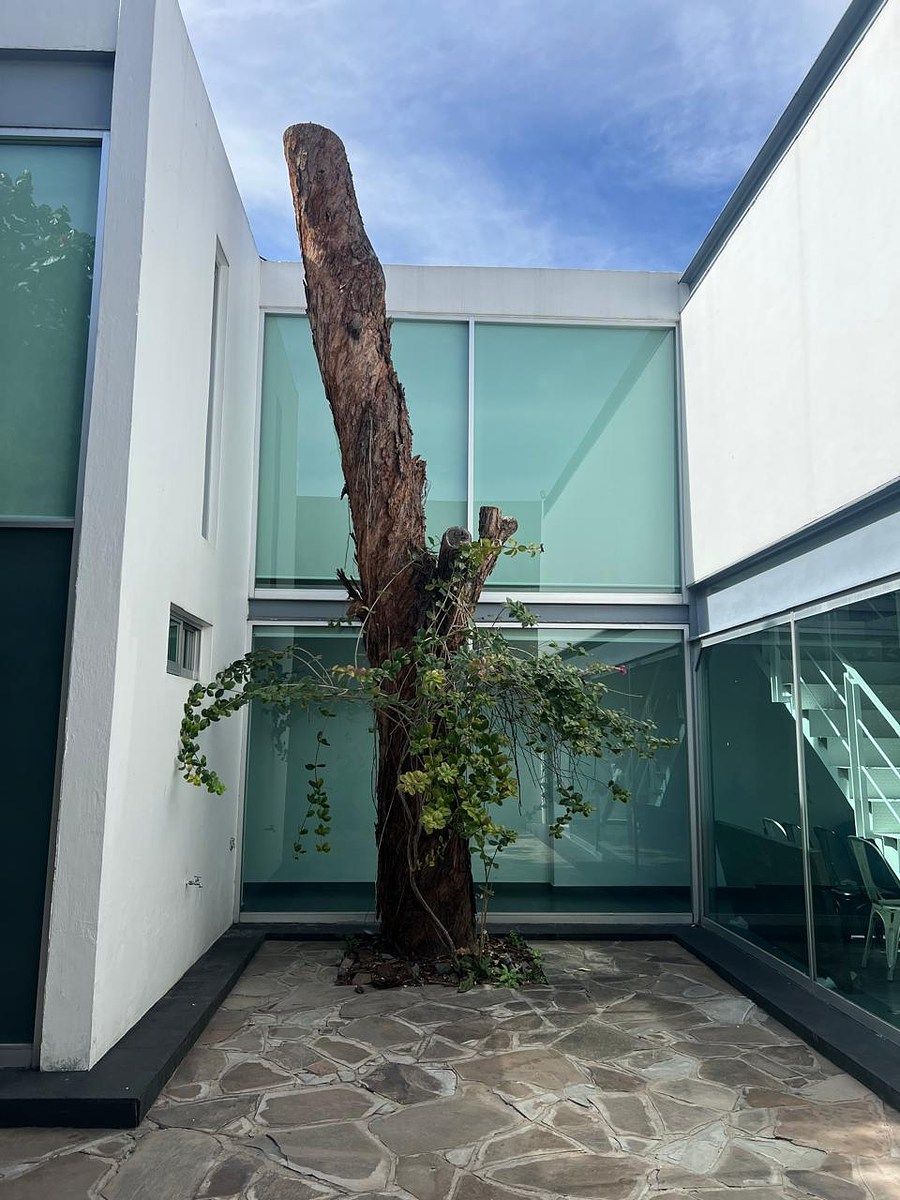 Casa con uso de suelo en Americana, Guadalajara, foto 14 de 21