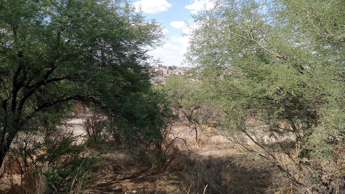 TERRENO “LAS MORAS” – SAN JUAN DE LOS LAGOS, JALISCO - foto 1