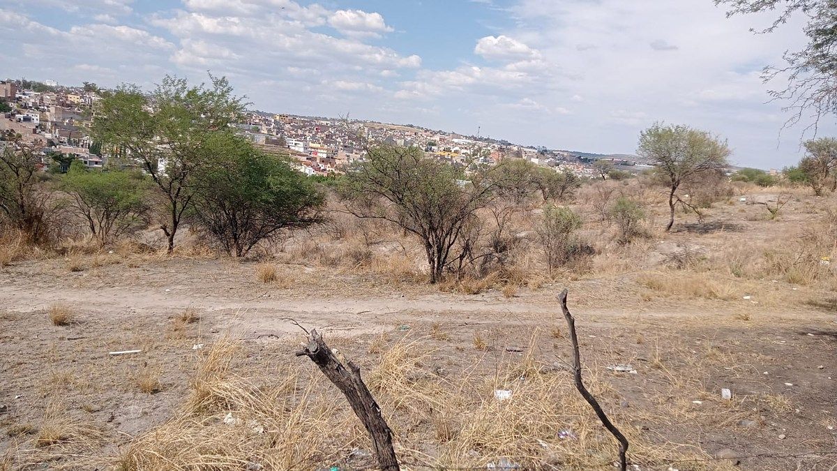 TERRENO “LAS MORAS” – SAN JUAN DE LOS LAGOS, JALISCO - foto 2