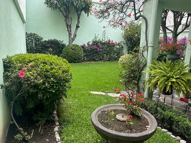 Casa en Letrán Valle, Benito Juárez, foto 4 de 14
