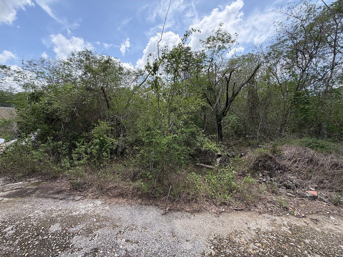 Lot in Dzibilchaltún, Mérida, photo 2 of 6