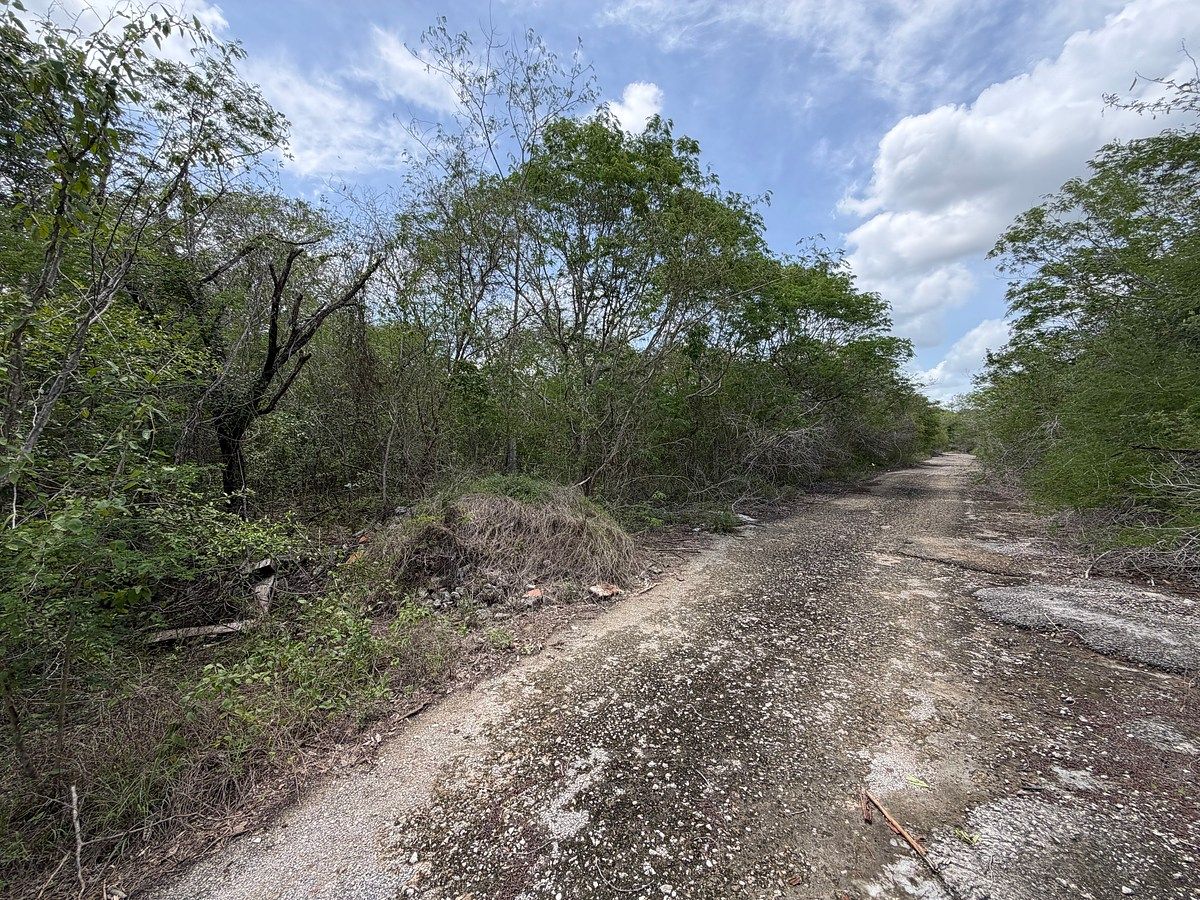 Lot in Dzibilchaltún, Mérida, photo 3 of 6