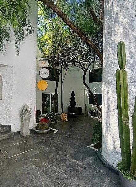 Retail Space in Jardines del Pedregal, Álvaro Obregón, photo 4 of 7
