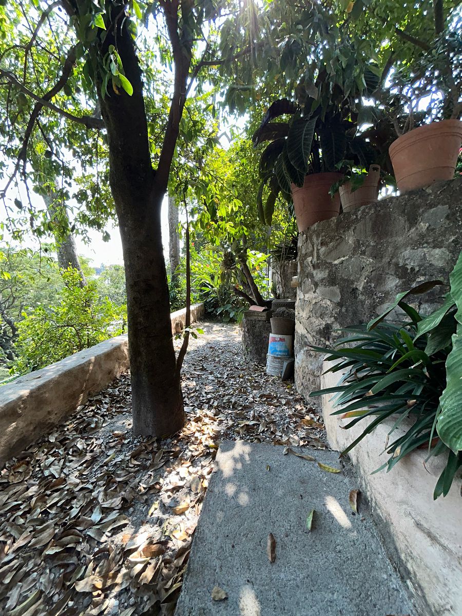 Casa em Margarita Maza de Juárez, Cuernavaca, foto 10 de 22