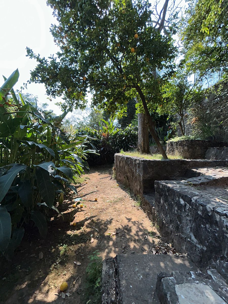 Casa em Margarita Maza de Juárez, Cuernavaca, foto 11 de 22