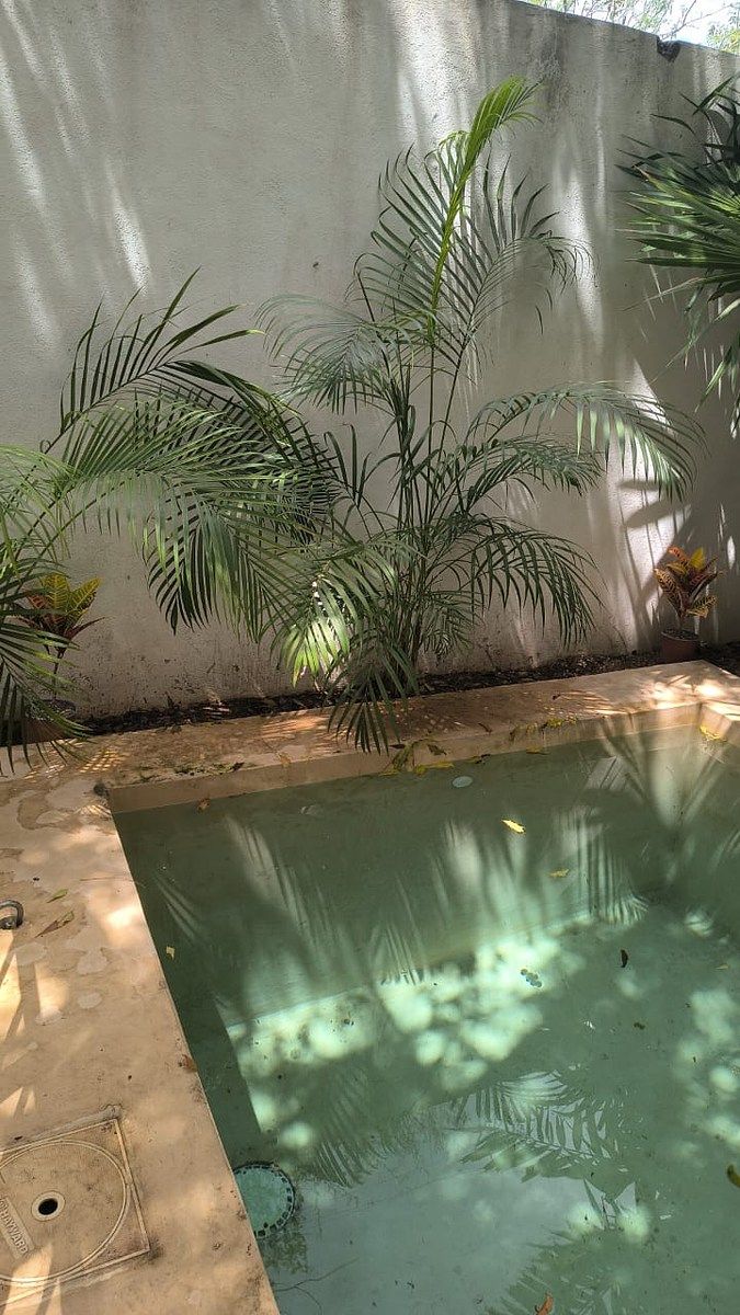 Casa en Temozón Norte, Mérida, foto 16 de 16