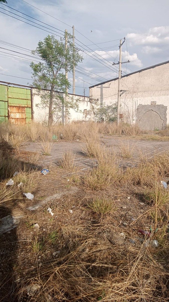 TERRENO “TIERRA PARDA” – SAN JUAN DE LOS LAGOS, JALISCO - foto 2