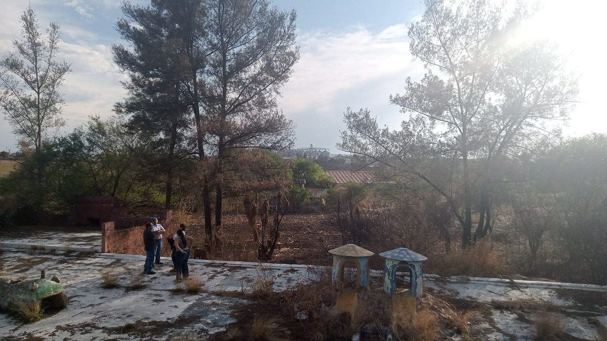 TERRENO “TIERRA PARDA” – SAN JUAN DE LOS LAGOS, JALISCO - foto 4
