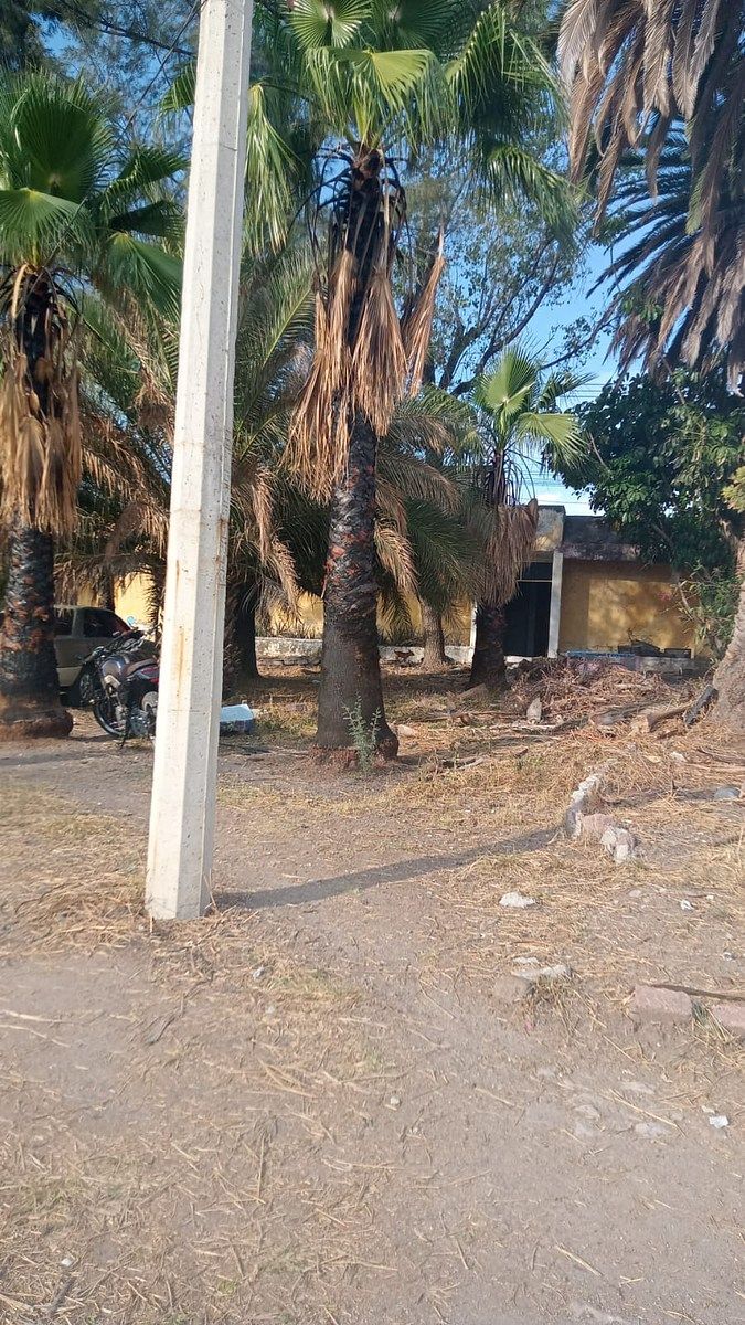 TERRENO “TIERRA PARDA” – SAN JUAN DE LOS LAGOS, JALISCO - foto 5