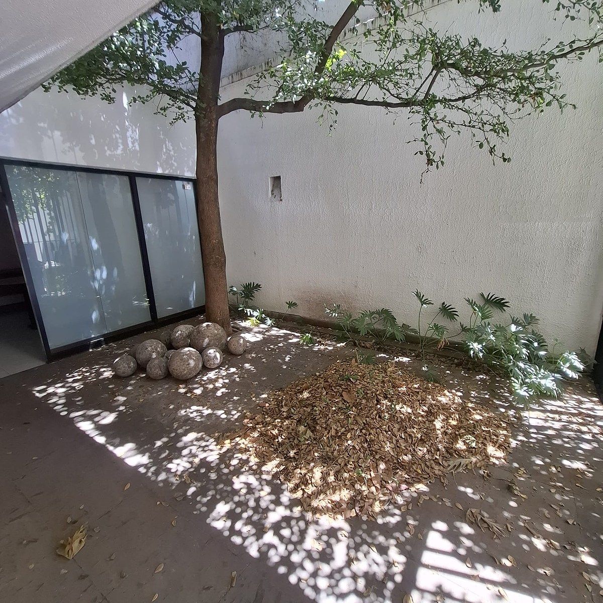 Sala Comercial em Santa Teresita, Guadalajara, foto 37 de 37