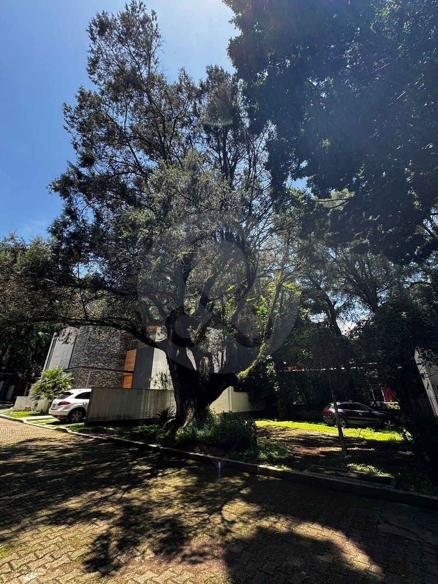 Lote em Tetela del Monte, Cuernavaca, foto 4 de 5