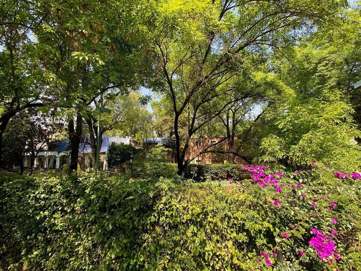 Propiedad en venta en Coyoacán, Francisco Sosa, foto 1 de 8