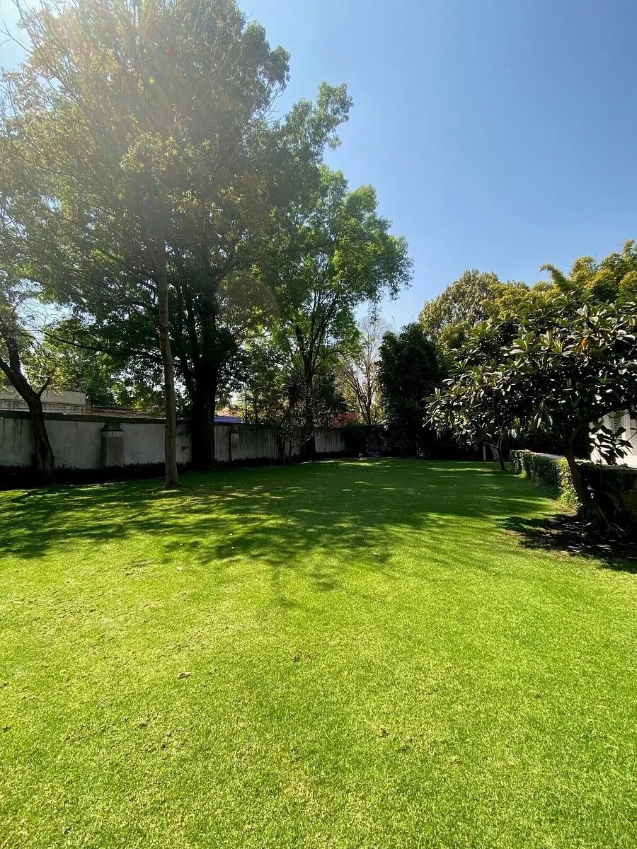 Terreno en Barrio Santa Catarina, Coyoacán, foto 7 de 8
