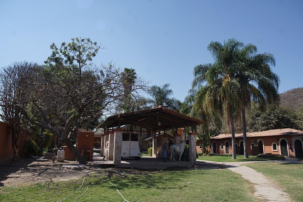 Ranch in San Agustin, Tlajomulco de Zúñiga, photo 3 of 6