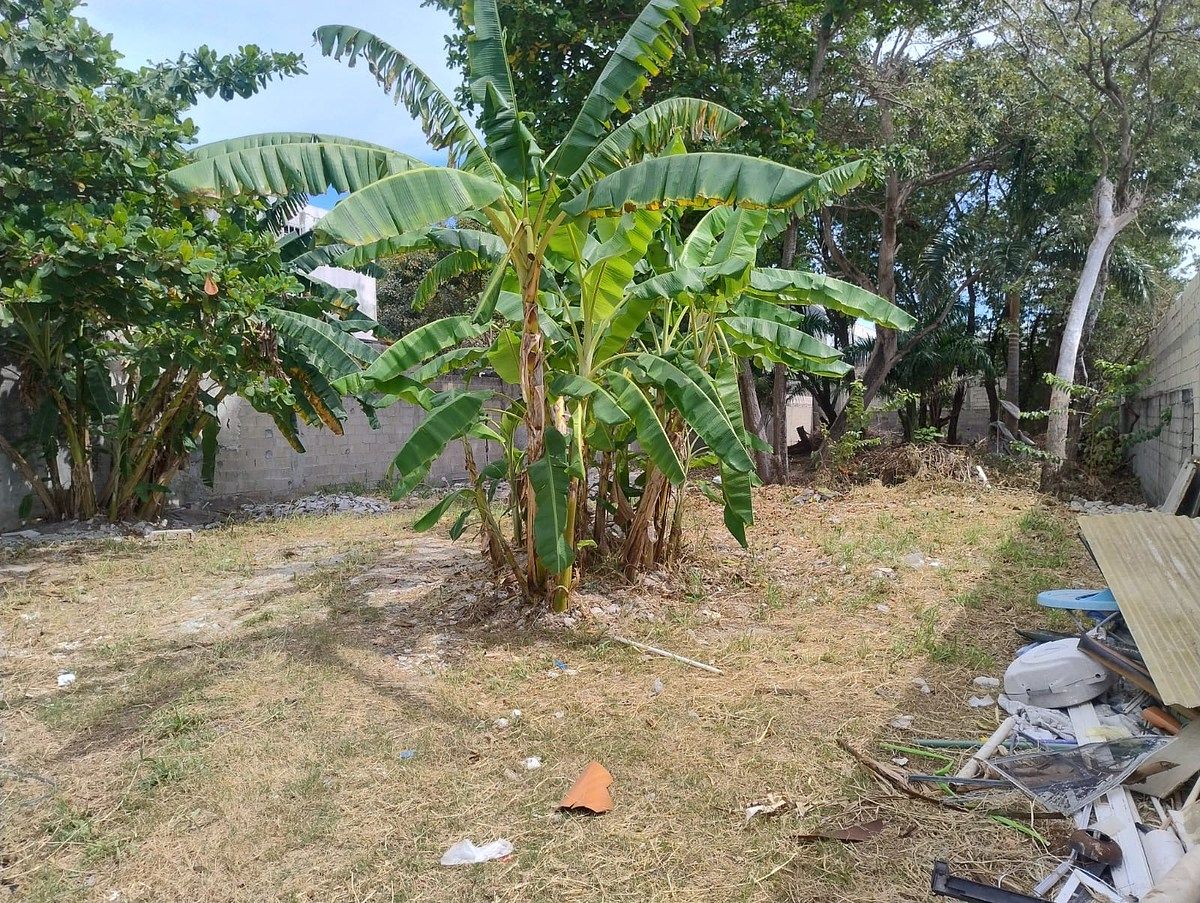 Terreno en Playa Norte, Carmen, foto 2 de 8