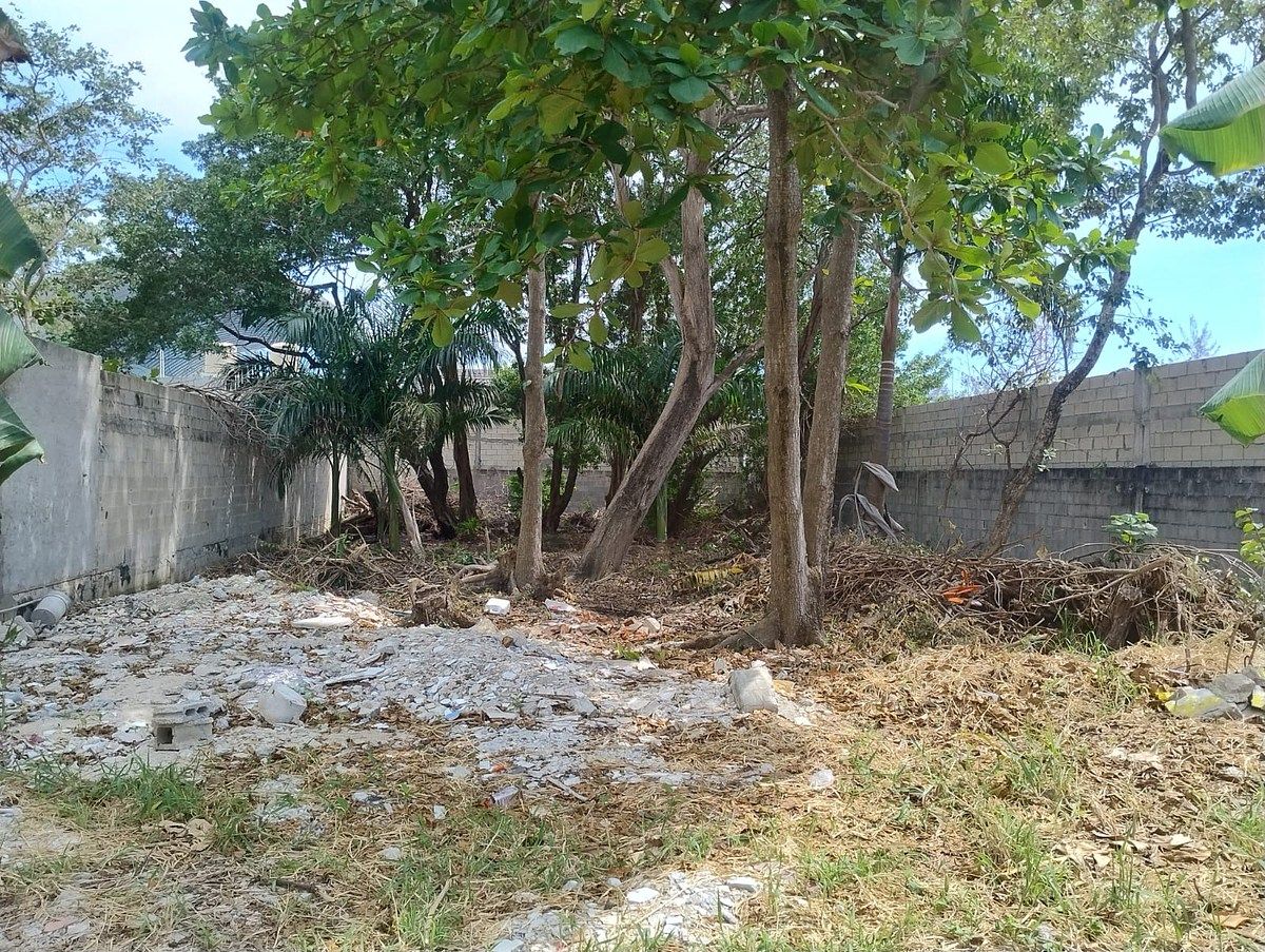 Terreno en Playa Norte, Carmen, foto 3 de 8