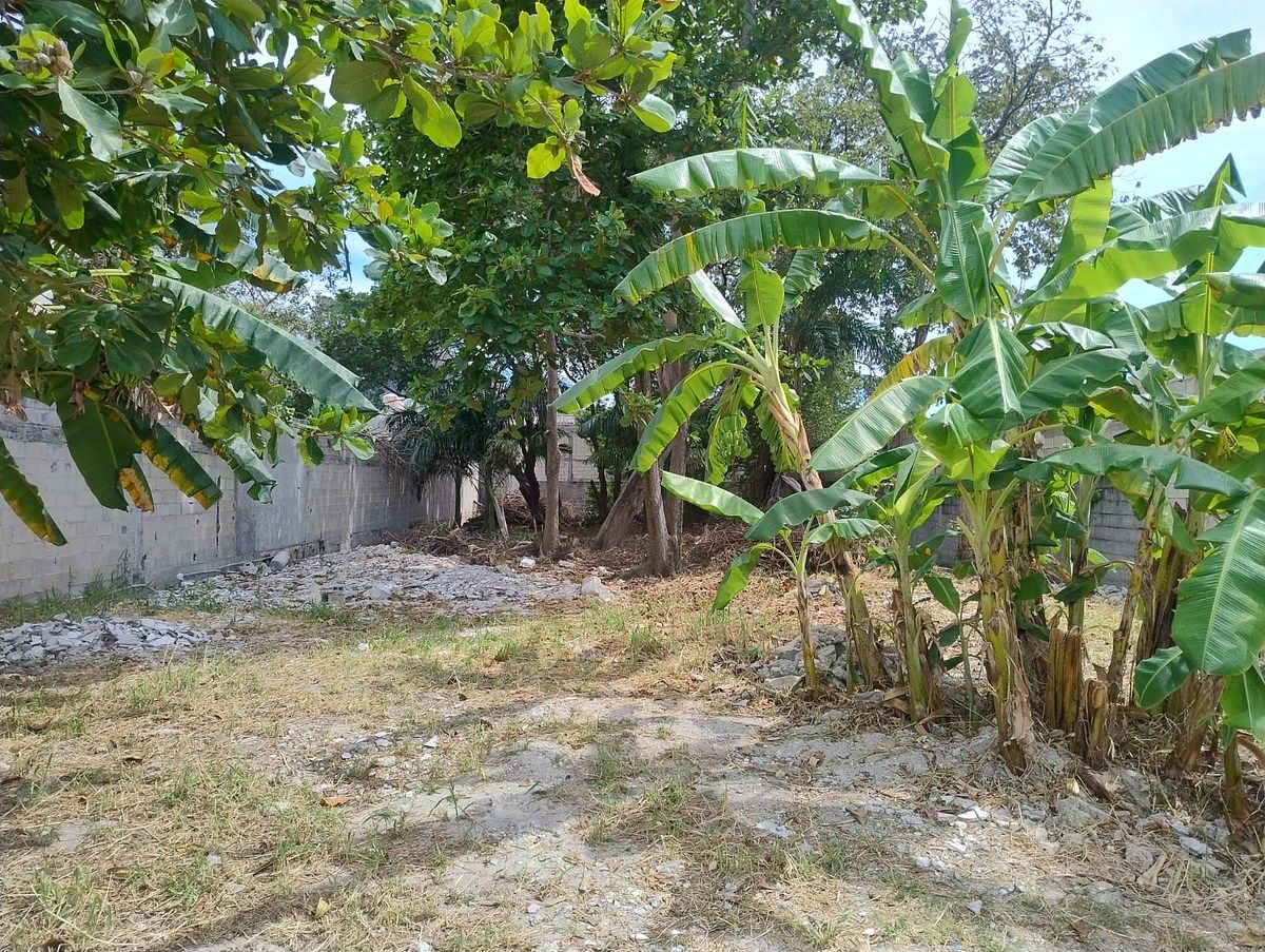 Terreno en Playa Norte, Carmen, foto 5 de 8