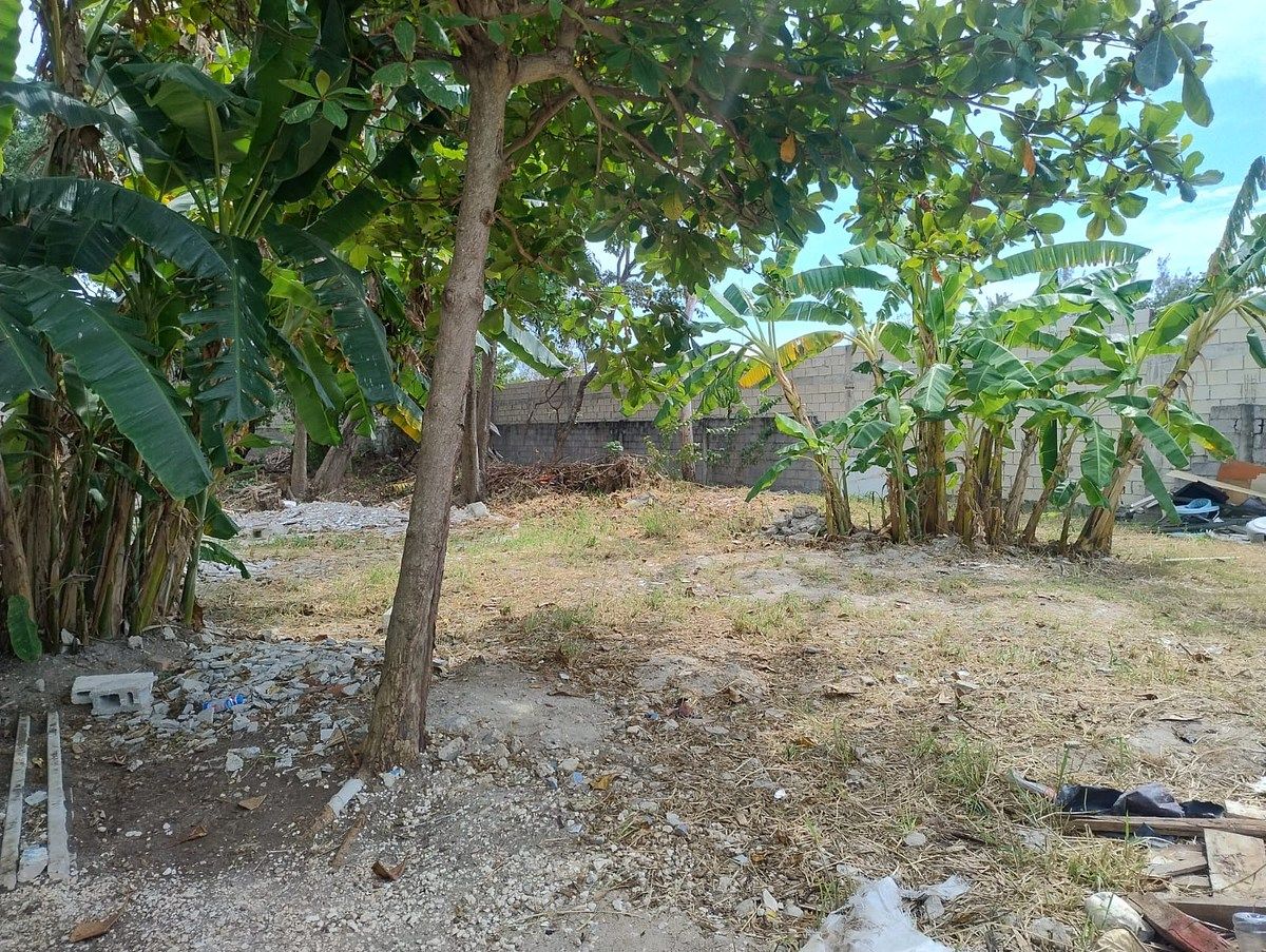 Terreno en Playa Norte, Carmen, foto 8 de 8