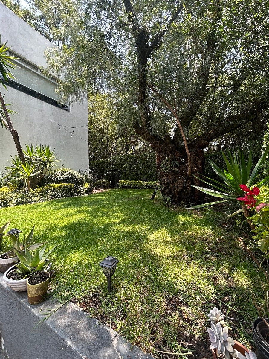 Casa en RENTA en Lomas anahuac ,Paseo Anahuac, foto 1 de 14