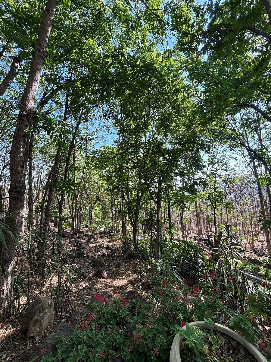 Ranch in Pedregal de San Miguel, Tlajomulco de Zúñiga, photo 40 of 46