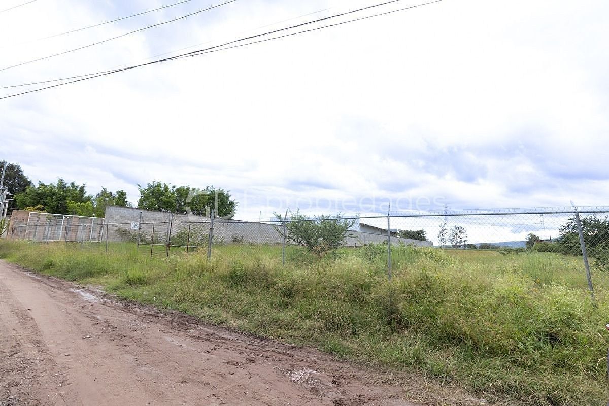 Lot in El Quince Centro, El Salto, photo 12 of 12