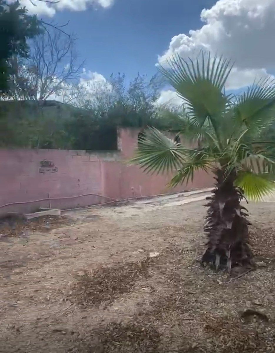 Lot in Pedregales de Tanlum, Mérida, photo 3 of 4