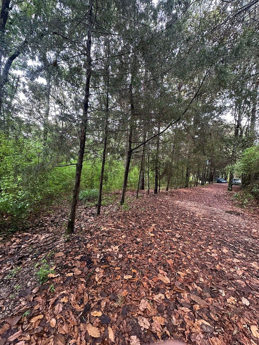 Venta de terreno en Alcanfores, foto 1 de 9