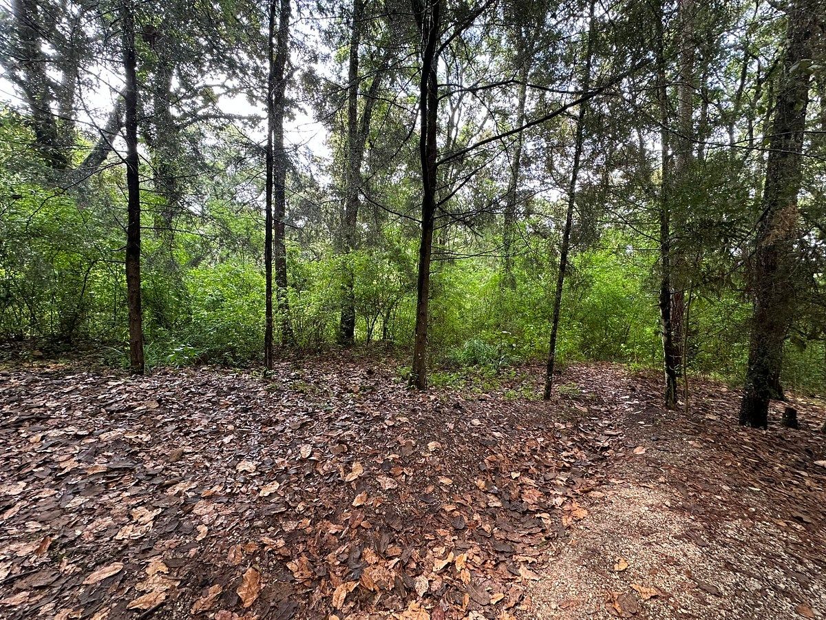 Lote em Los Alcanfores, San Cristóbal de Las Casas, foto 2 de 9