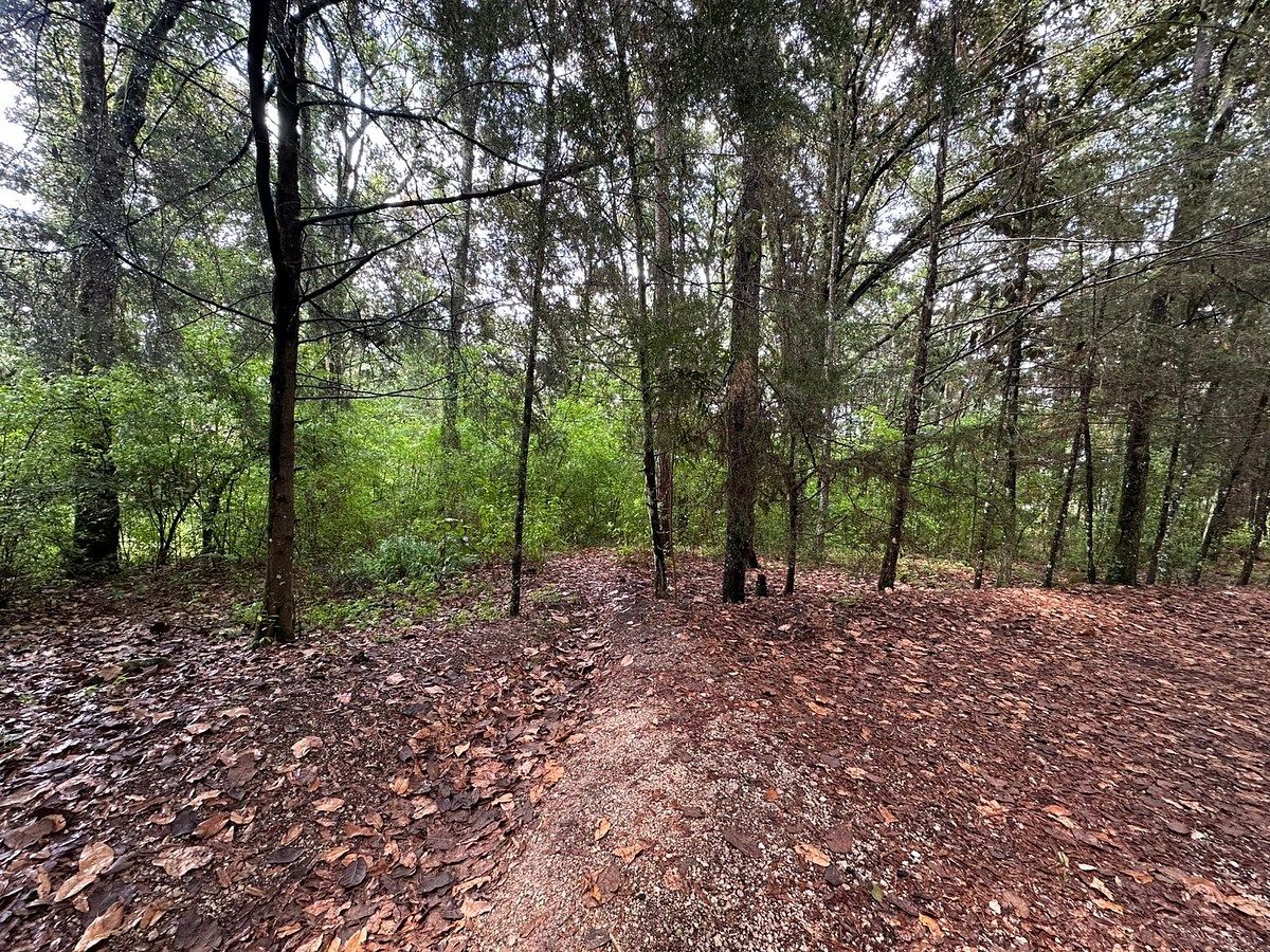 Lote em Los Alcanfores, San Cristóbal de Las Casas, foto 3 de 9