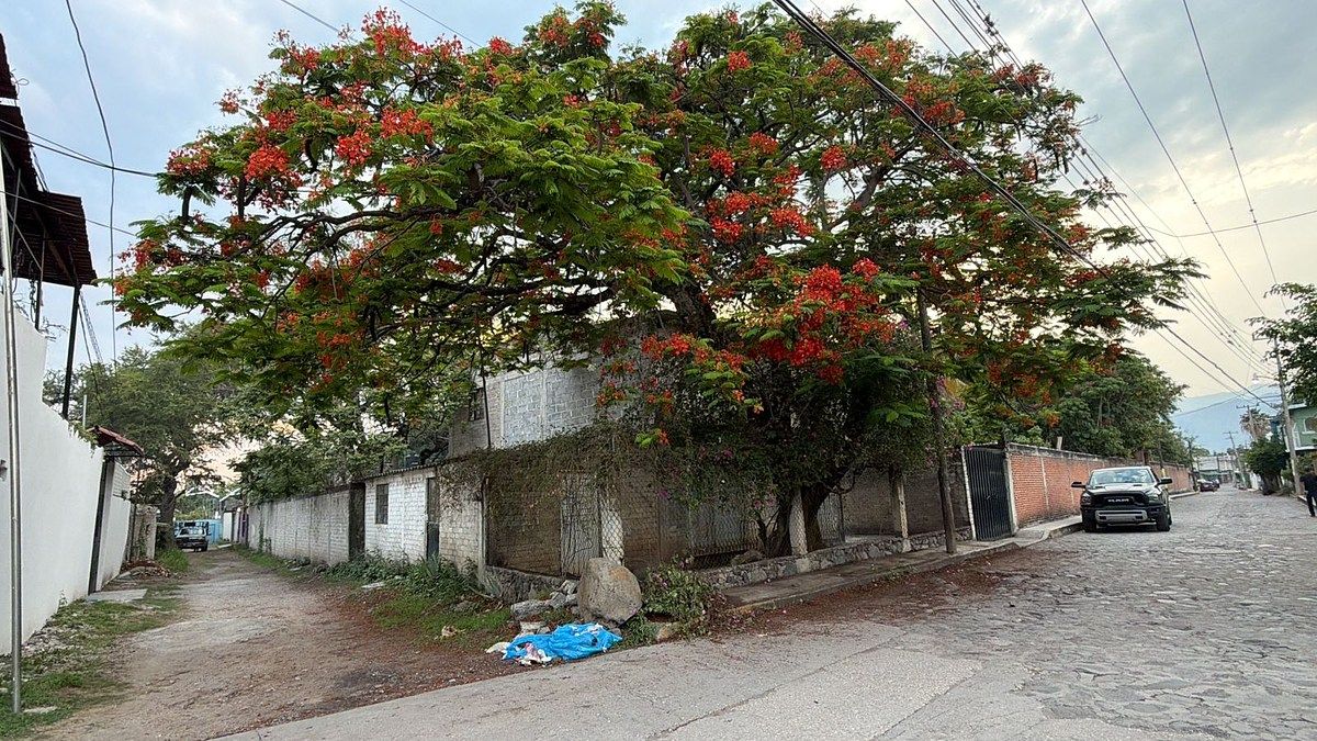 House in Cocoyoc, Yautepec, photo 11 of 16