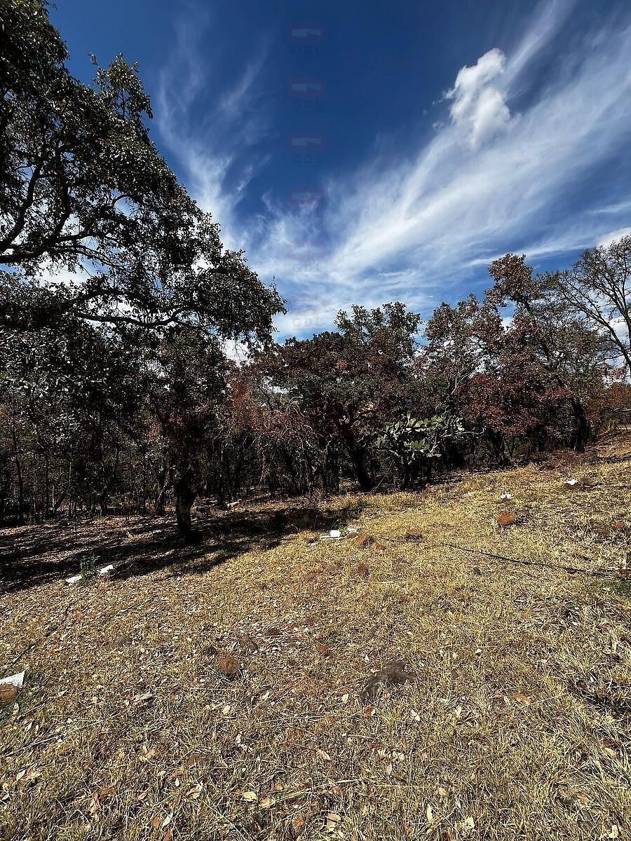 Lot in Arandas Centro, Arandas, photo 2 of 14