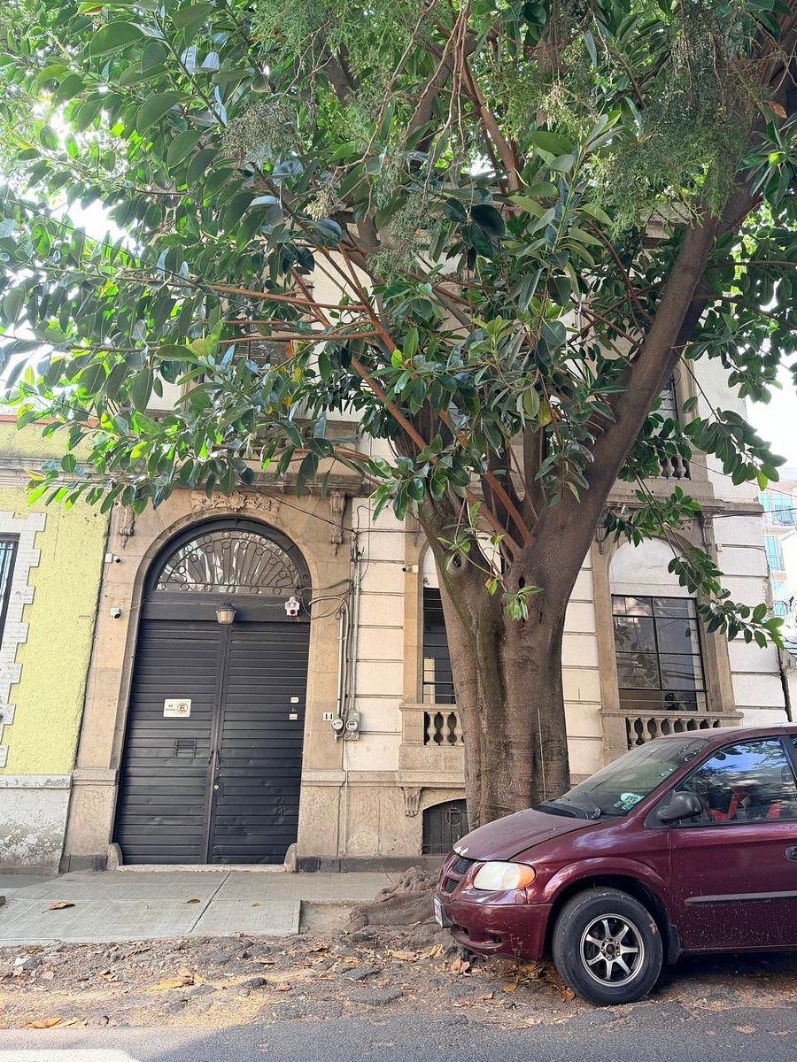 Casa en Roma Norte, Cuauhtémoc, foto 2 de 39