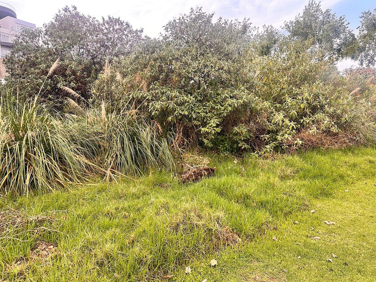 Terreno en Bosque Real, Huixquilucan, foto 11 de 15