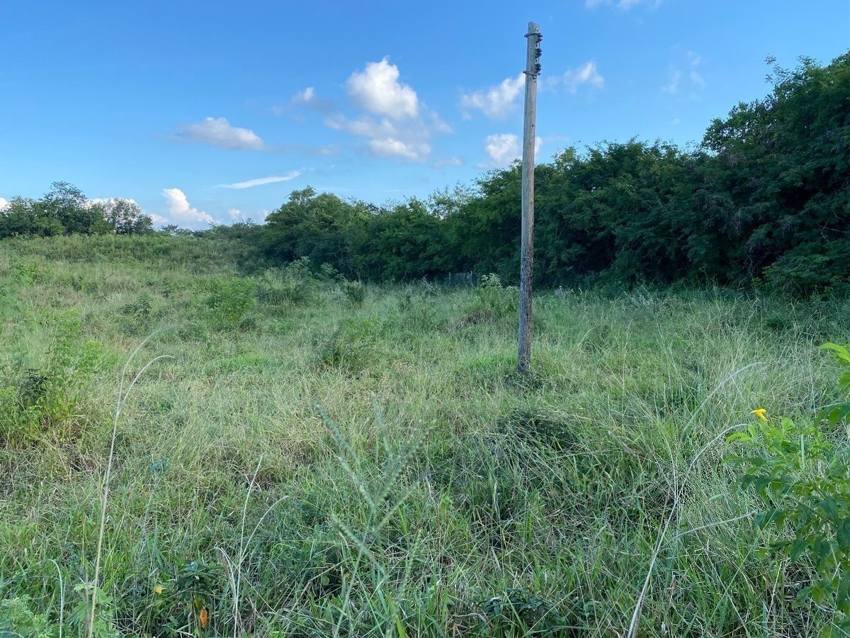 Ranch in Sotuta, Sotuta, photo 7 of 24