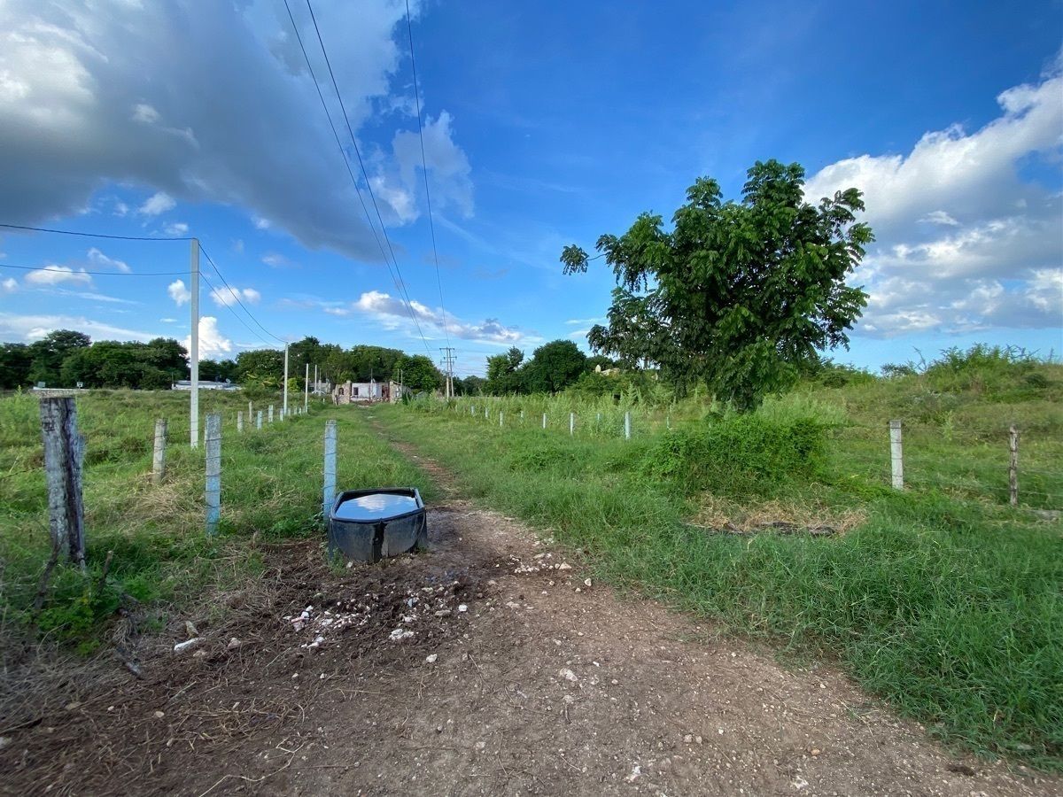 Ranch in Sotuta, Sotuta, photo 8 of 24
