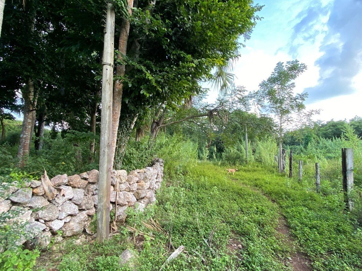 Ranch in Sotuta, Sotuta, photo 13 of 24